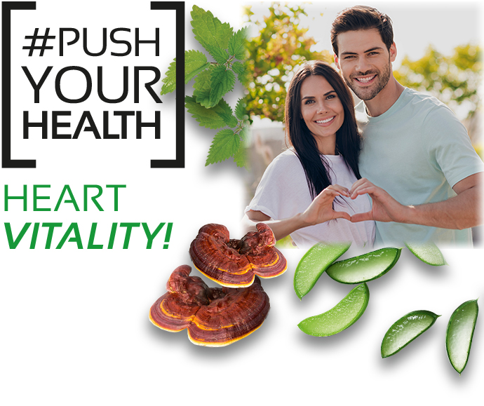 Highlights Nutrition