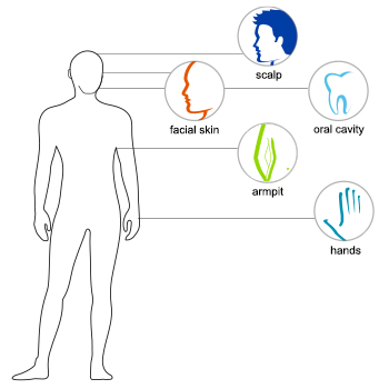 THE MICROBIOME