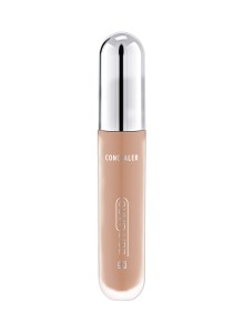 LR ZEITGARD Signature Concealer Fair
