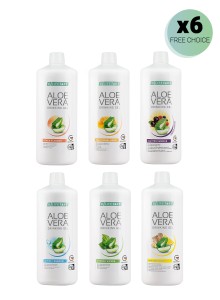 Aloe Vera Gel - 6er Pack Promotion